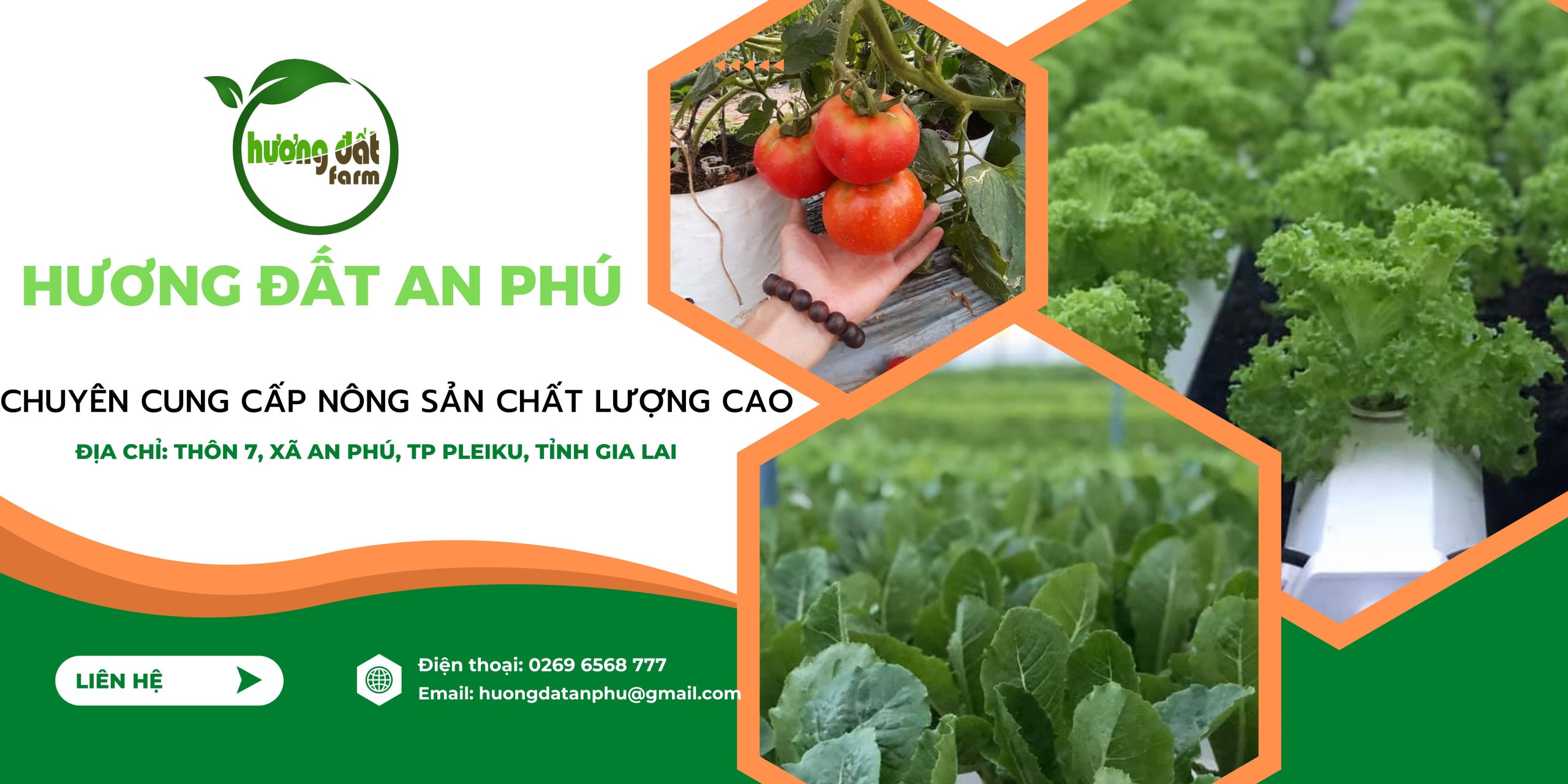 Green Orange Modern Hydroponic Agriculture Banner (1)